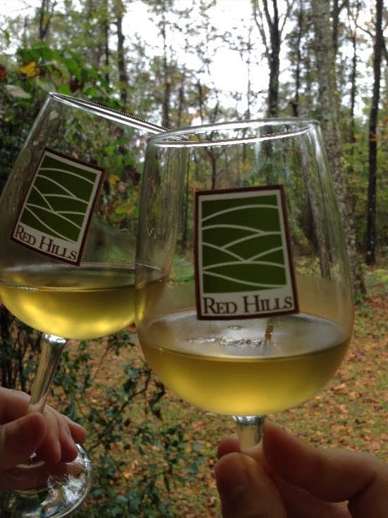 The Rainforest Garden Making Sugar with Outlaws in the Old South