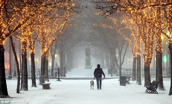It&#039;s Written on the Wall: Do you Have Christmas Snow Yet? If Not Enjoy these Snow Photos