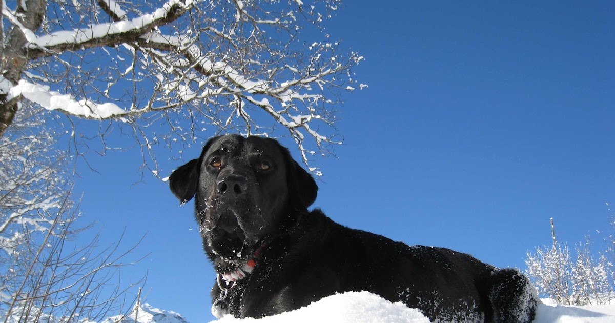 tip2toeBalance von Kopf bis Fuss frei und ausbalanciert Stressabbau