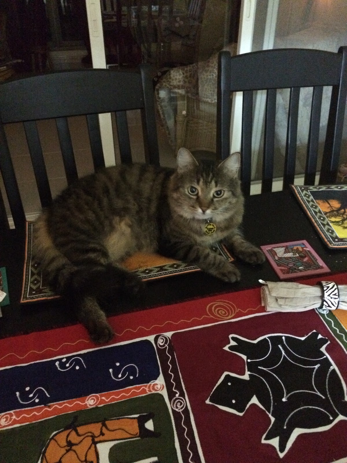 Life with Chickenruby Why does the cat sleep on the dining room table