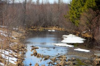 Spring's open water photo of Spring's open water