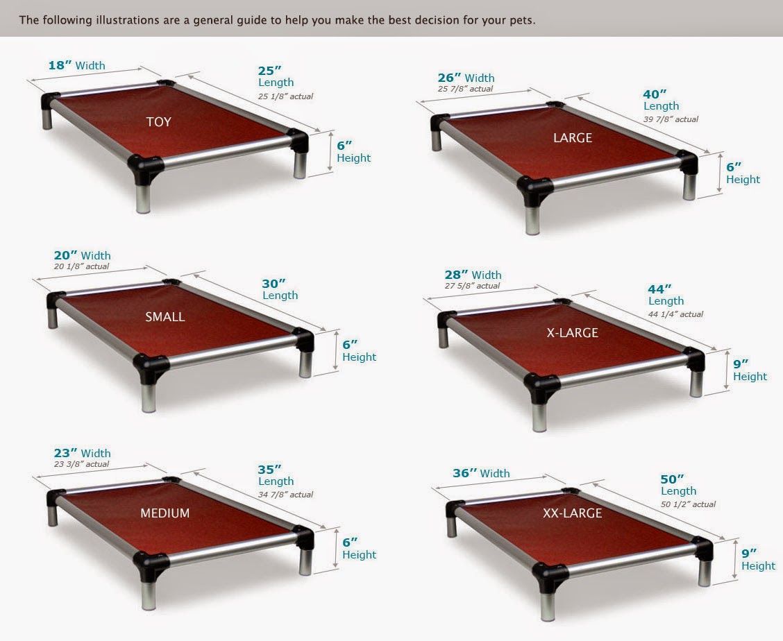 Privileged Pets Mobile Pet Grooming Singapore Kuranda Beds