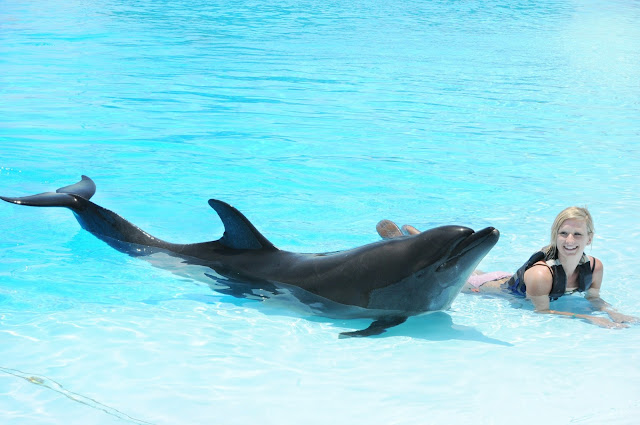 Swimming with Dolphins in Tunisia