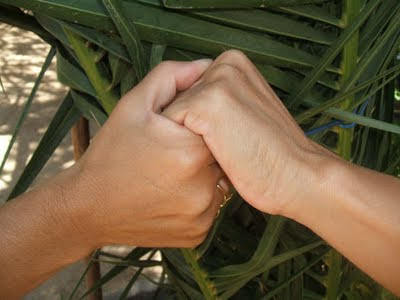 amistad+tomados de la mano