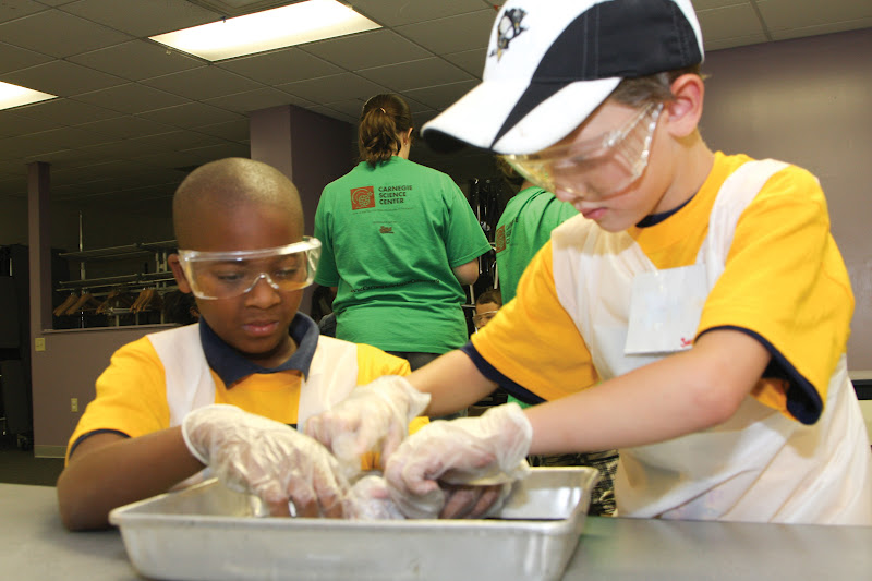Carnegie Science Center Camps (414yrs) Macaroni KID Pittsburgh West