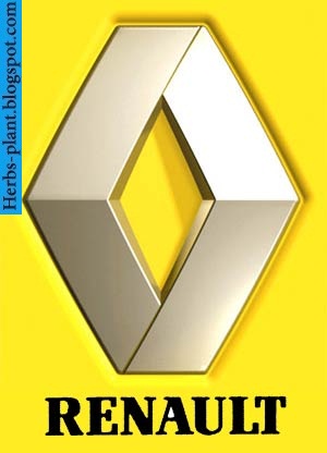 Renault fluence car 2013 logo - صور شعار سيارة رينو فلوانس 2013 Renault fluence car 2013 logo - صور شعار سيارة رينو فلوانس 2013