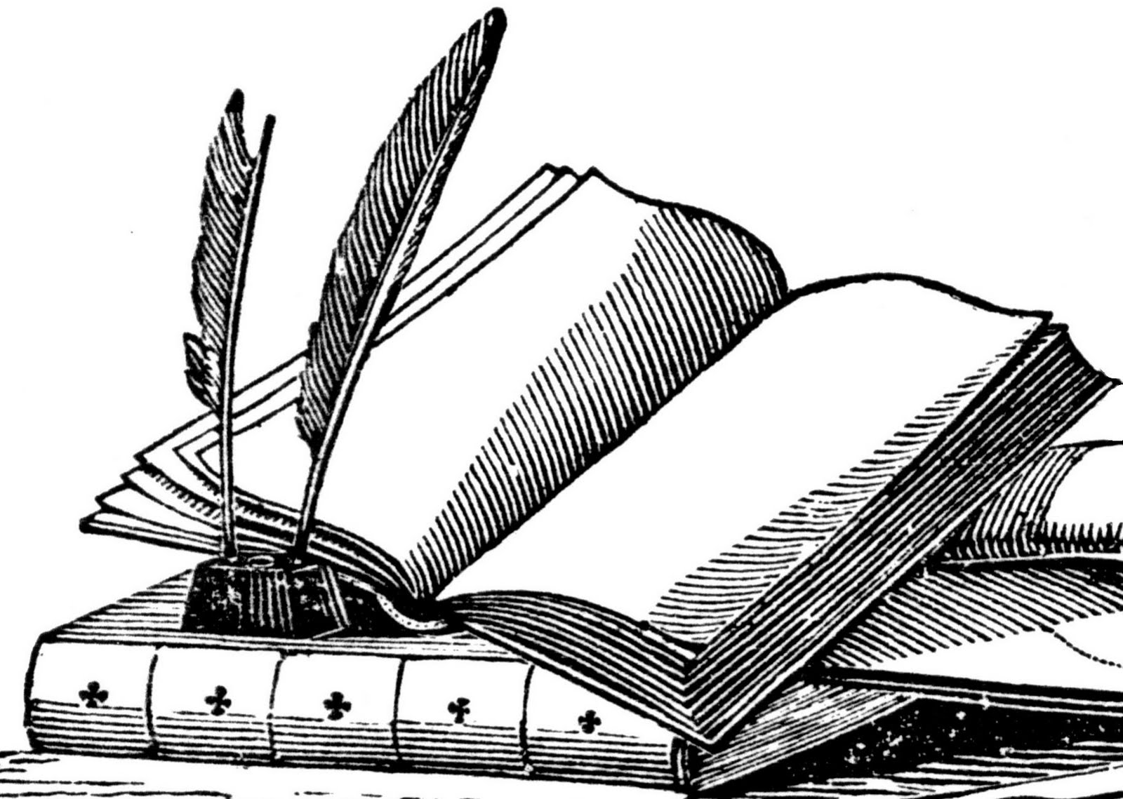 Big Open Book