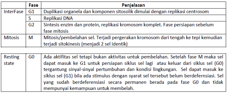 Cara Membuat Blog Makalah Biologi Siklus Dan Pembelahan Sel Amitosis Mitosis Dan Meiosis