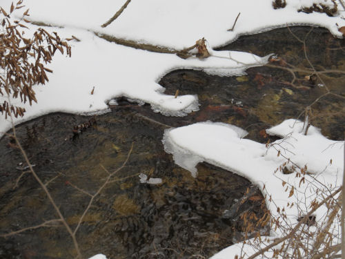 partially frozen creek