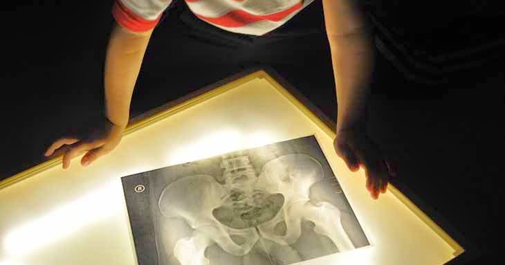Memorizing the Moments: Human Body: Muscles and Bones