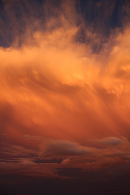 Evening Tide, Sarah Myers, Photography clouds, sky, photography, sarah myers, sunset, evening, desert, weather, majestic, twilight, digital, blue, orange, skies, photograph, beauty, large, vast, skyscape, landscape, cloudscape, vivid, autumn, fall, storm, thunder, cumulus, impressive, bright, night, Sonora, tide, waves, soft, gentle, big