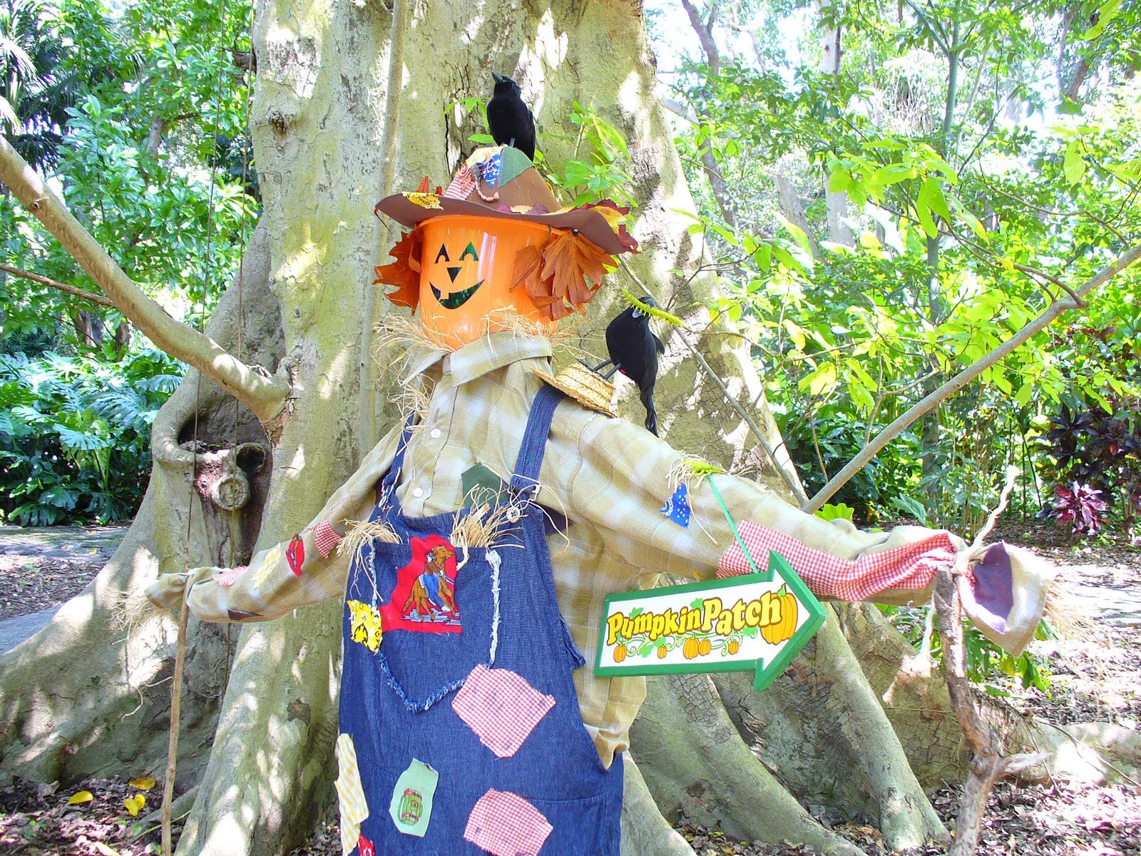 Flamingo Gardens Scarecrow Contest