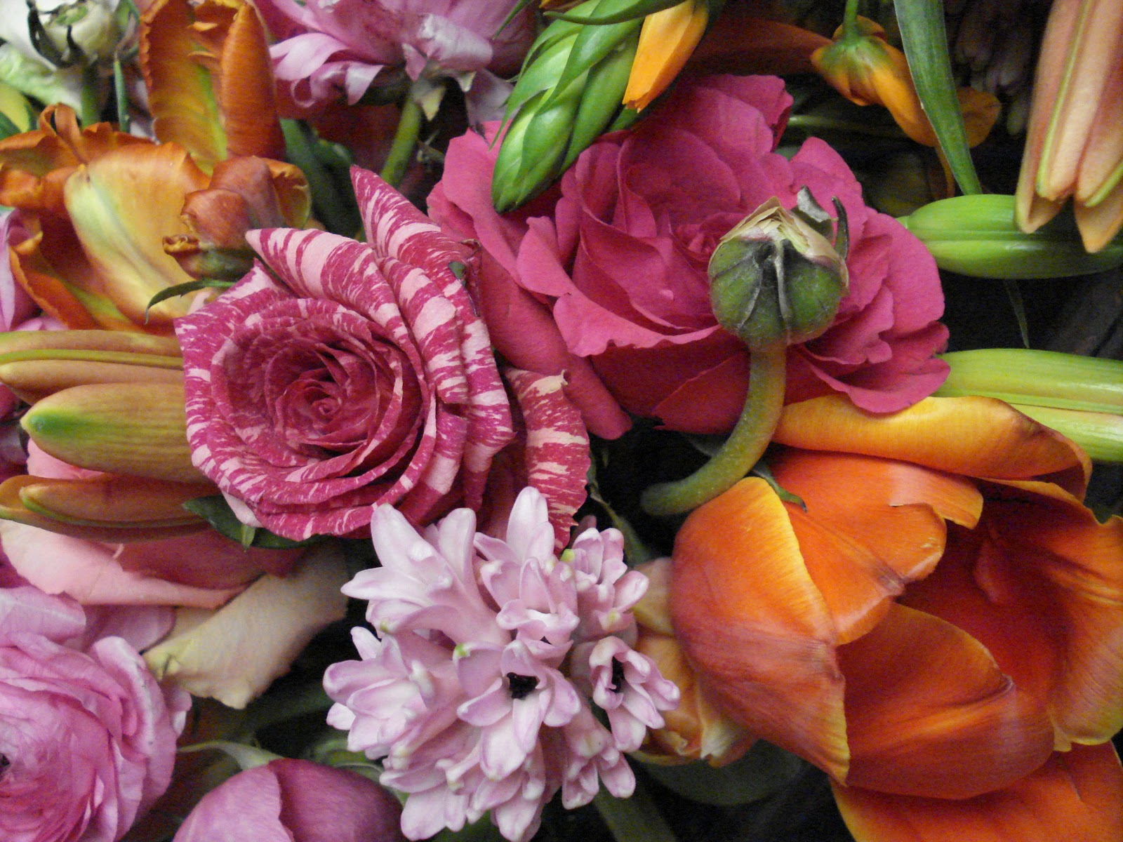 All Purpose Flowers What's in a flower