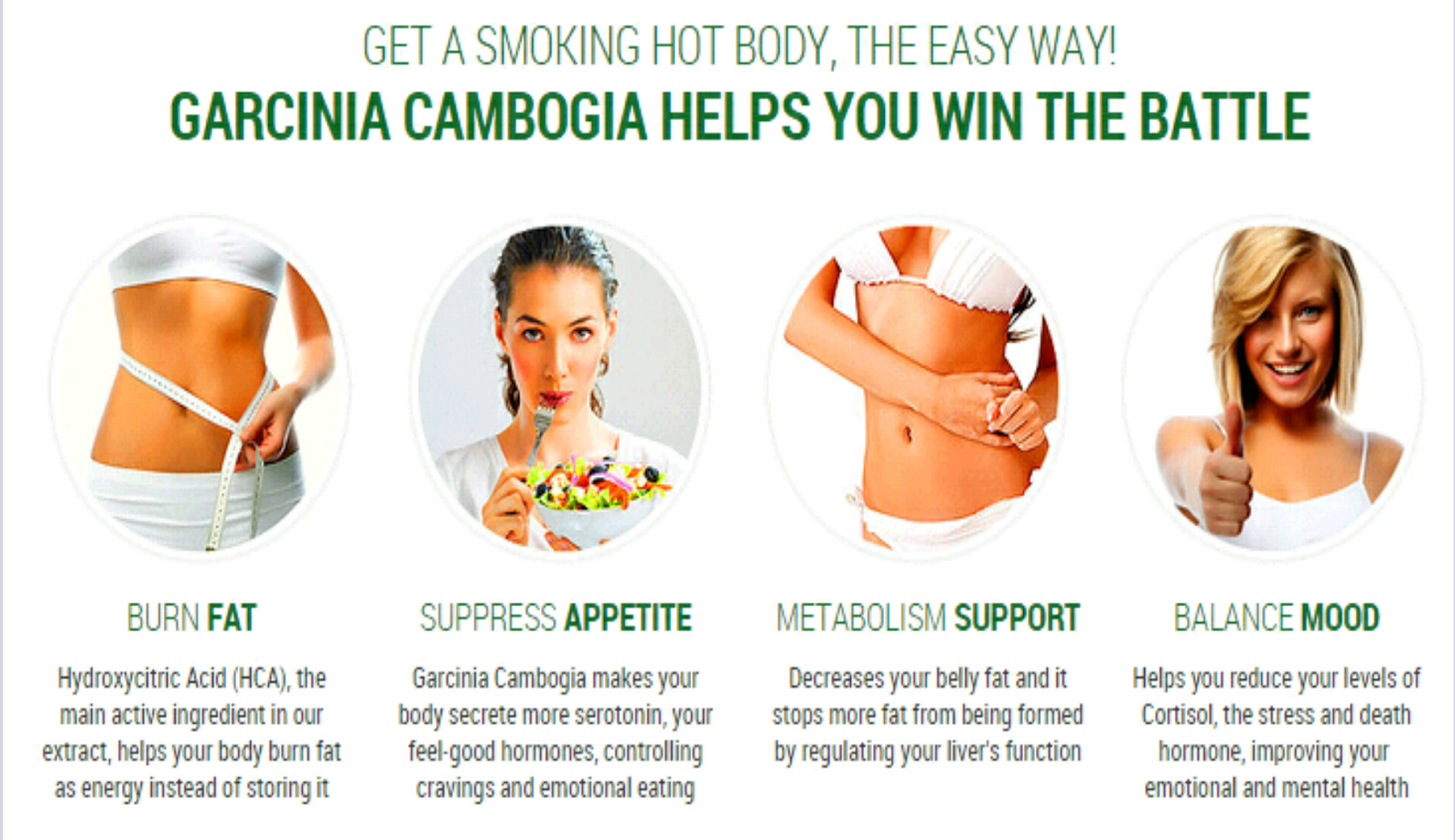 garcinia cambogia and green coffee bean blog garcinia cambogia and green coffee bean blog