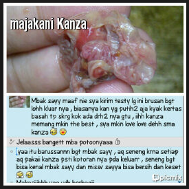 Manfaat Khasiat Majakani Kanza Khasiat Majakani