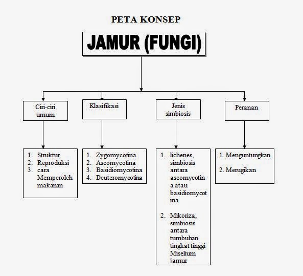 Peta Konsep Materi Jamur Fungi Pustaka Pandani