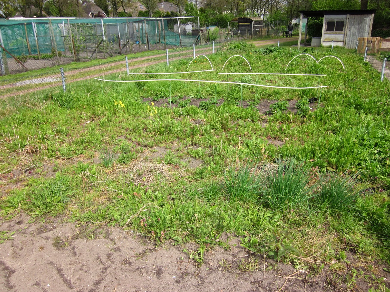 Huis tuin en keuken: m: moestuin, voor en na Keuken kant oranje