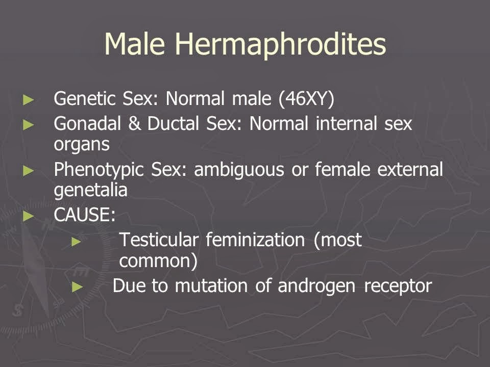 Slide 23