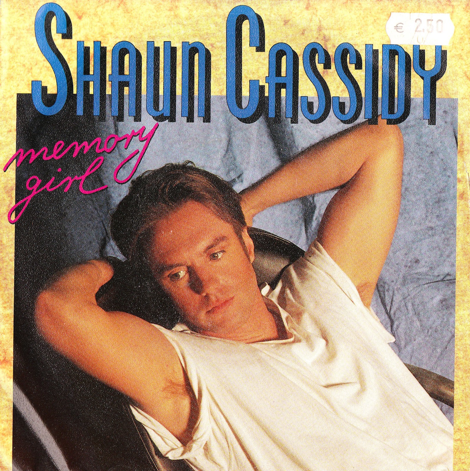 '70s Teenpop Shaun Cassidyon Record.