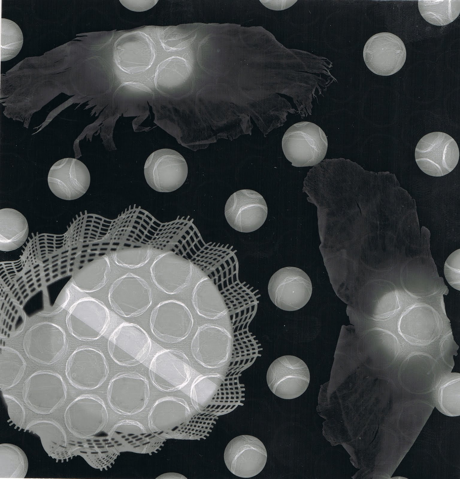 MacarenaZam FOTOGRAMAS