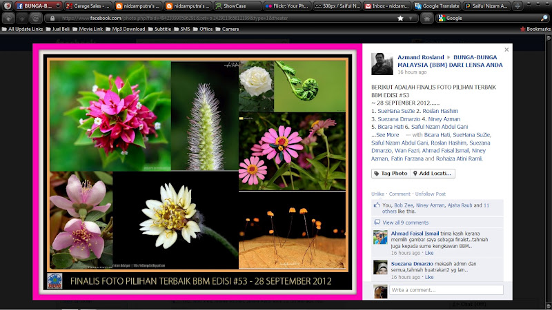 Pilihan buku foto terbaik
