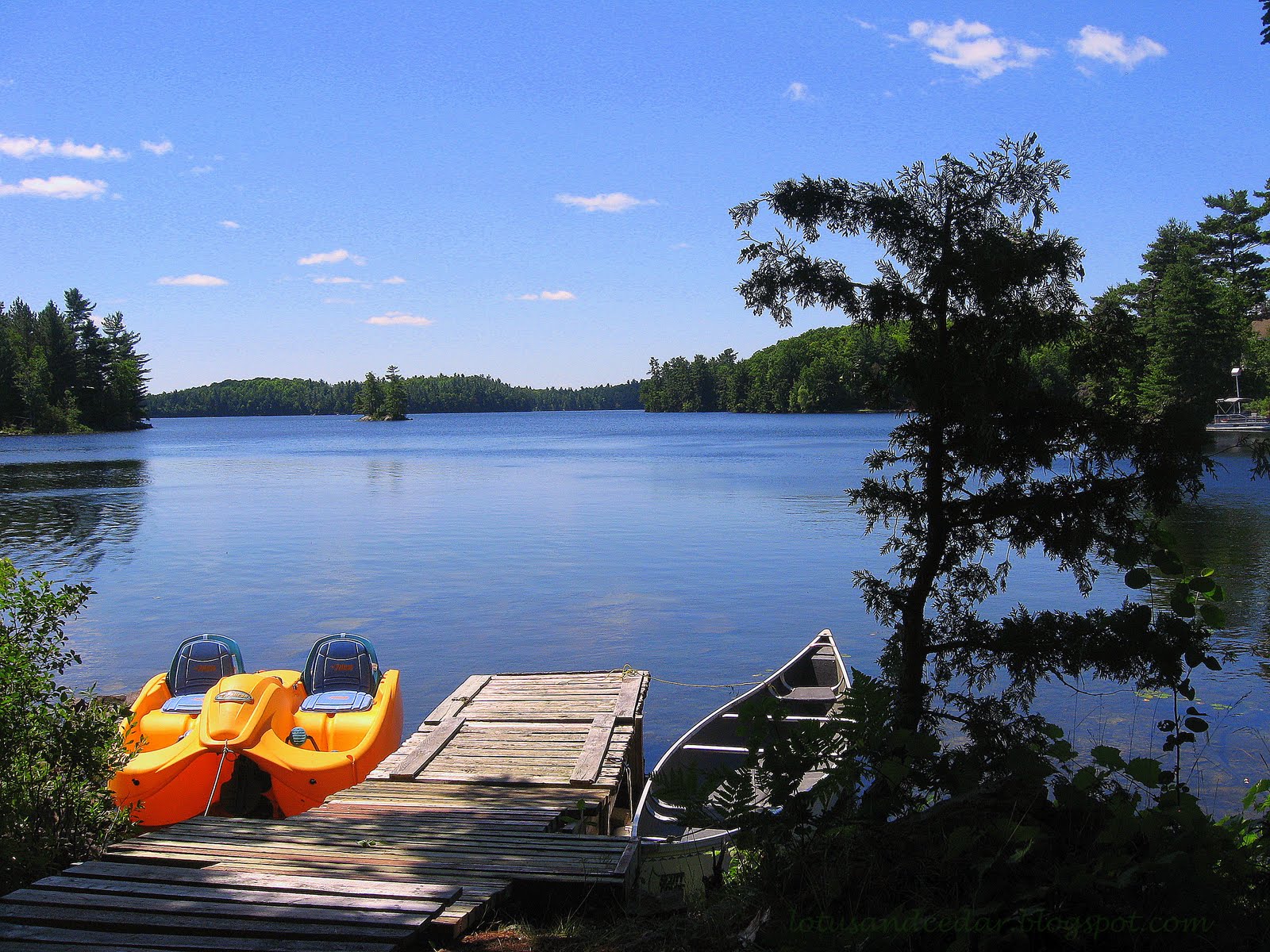 Lotus And Cedar Ranting About Cottaging In The Canadian Wilderness