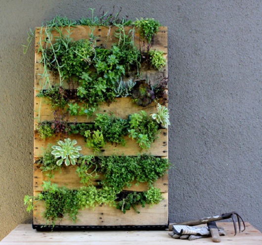 jardim vertical pallet: .blogspot.com.br/2012/11/jardim-vertical-reaproveitando-palete.html jardim vertical pallet: .blogspot.com.br/2012/11/jardim-vertical-reaproveitando-palete.html