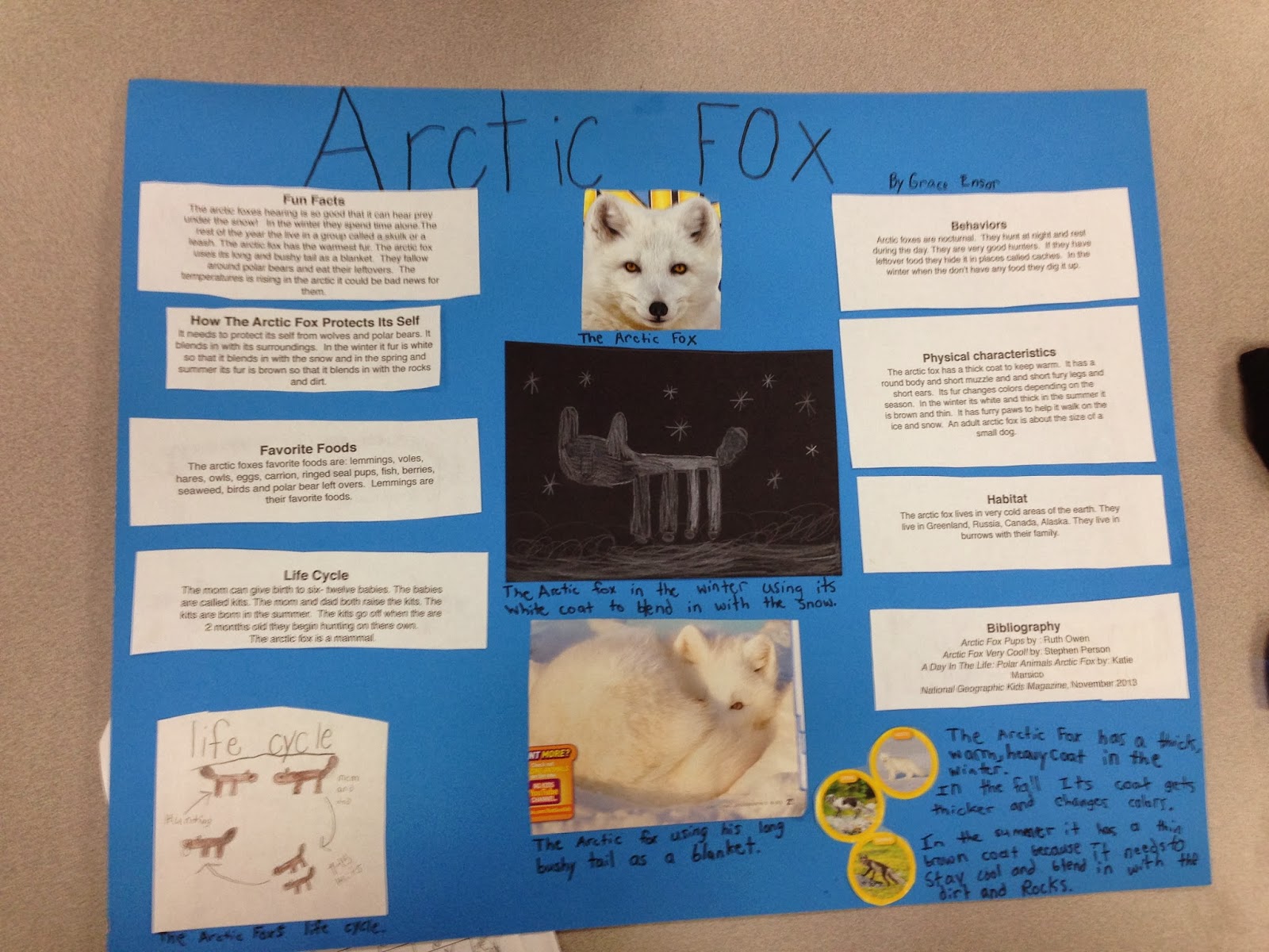 Bristol Board Presentation Ideas at Virginia Harris blog