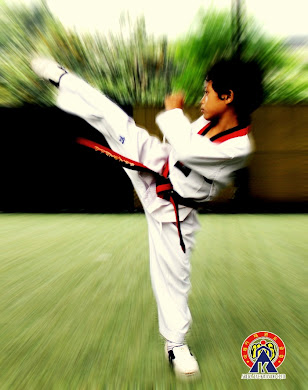 Taekwondo-in Akbar in action