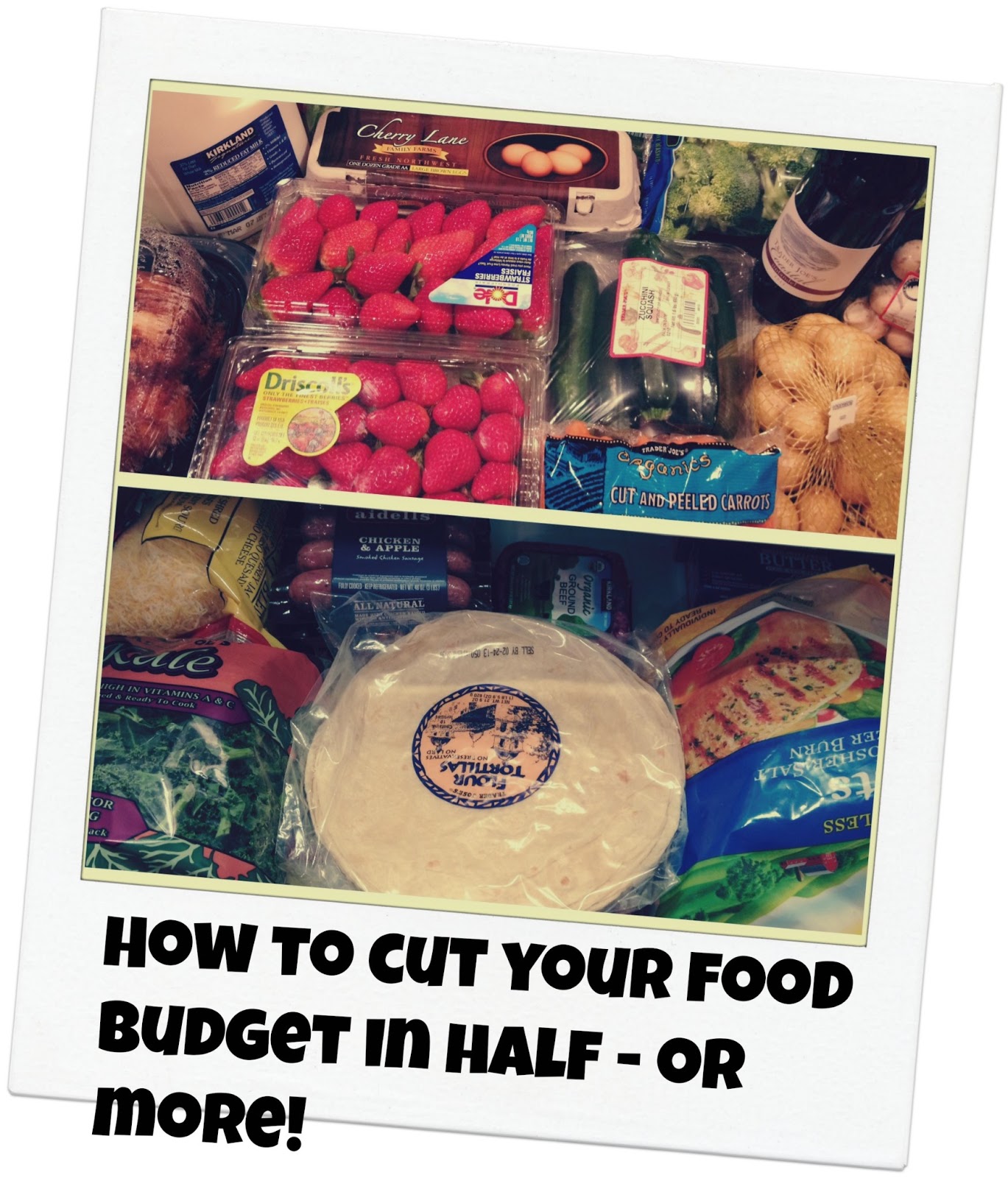 OregonMama How to Cut Your Food Budget in Half...Or More!!!