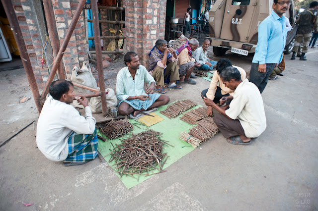 patyczki z drzewa Gee do mycia zębów Kalkuta Indie