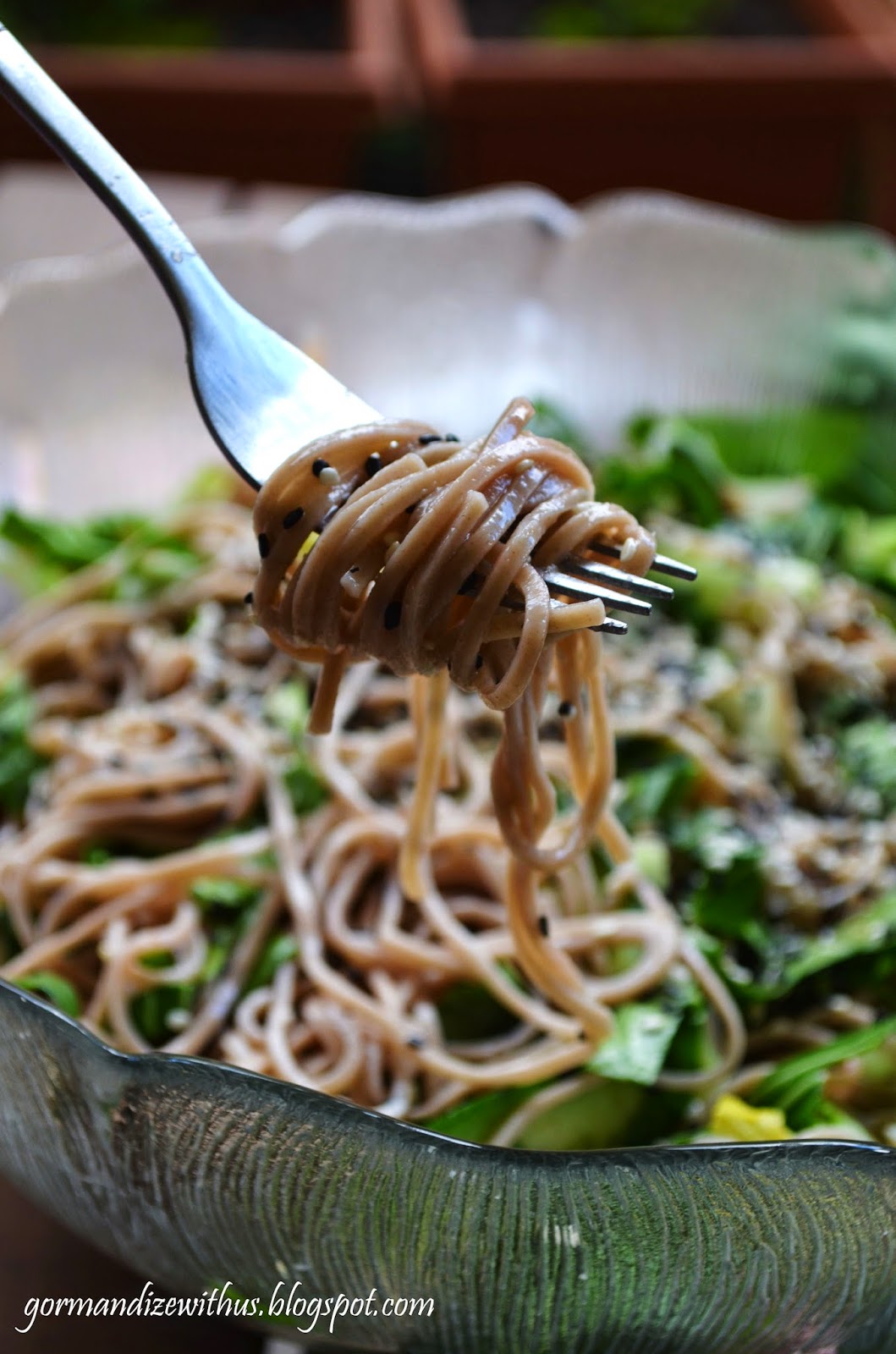 Gormandize Quinoa Soba Noodle Salad with Bok Choy & Sesame
