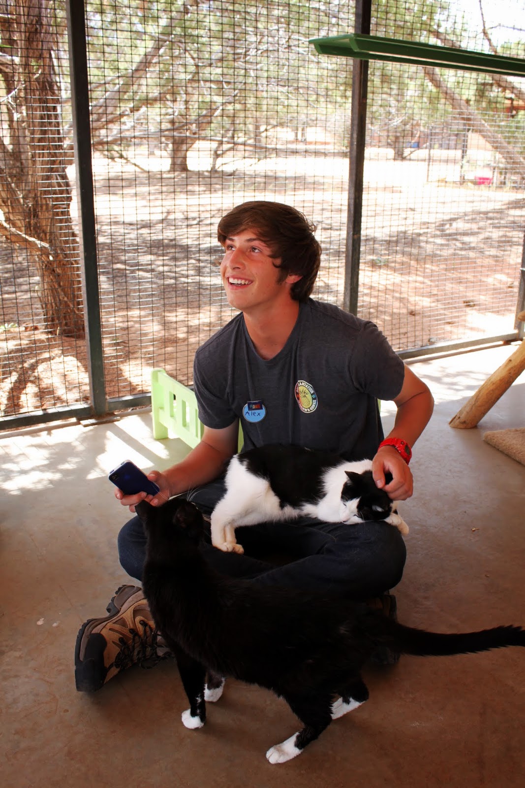 best friends animal society a different kind of home midcentury