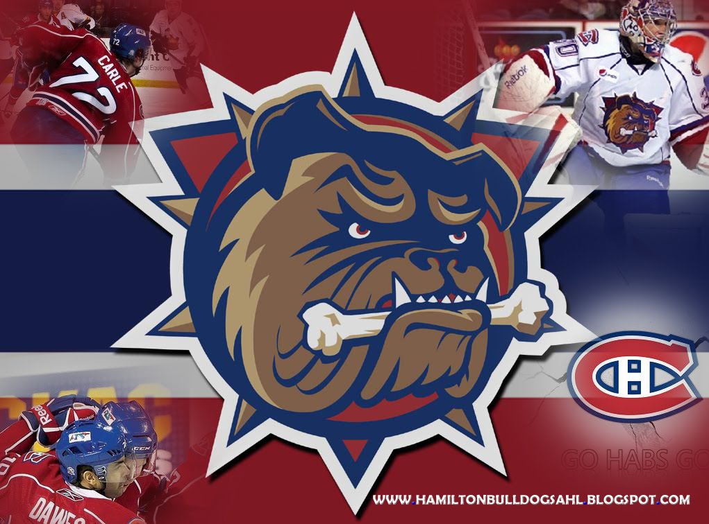 Hamilton Bulldogs: 2012-13 Season