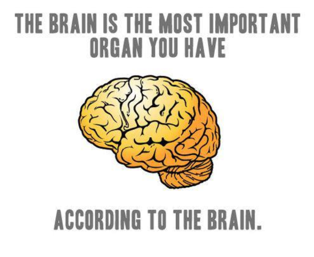 funny, brain funny, brain