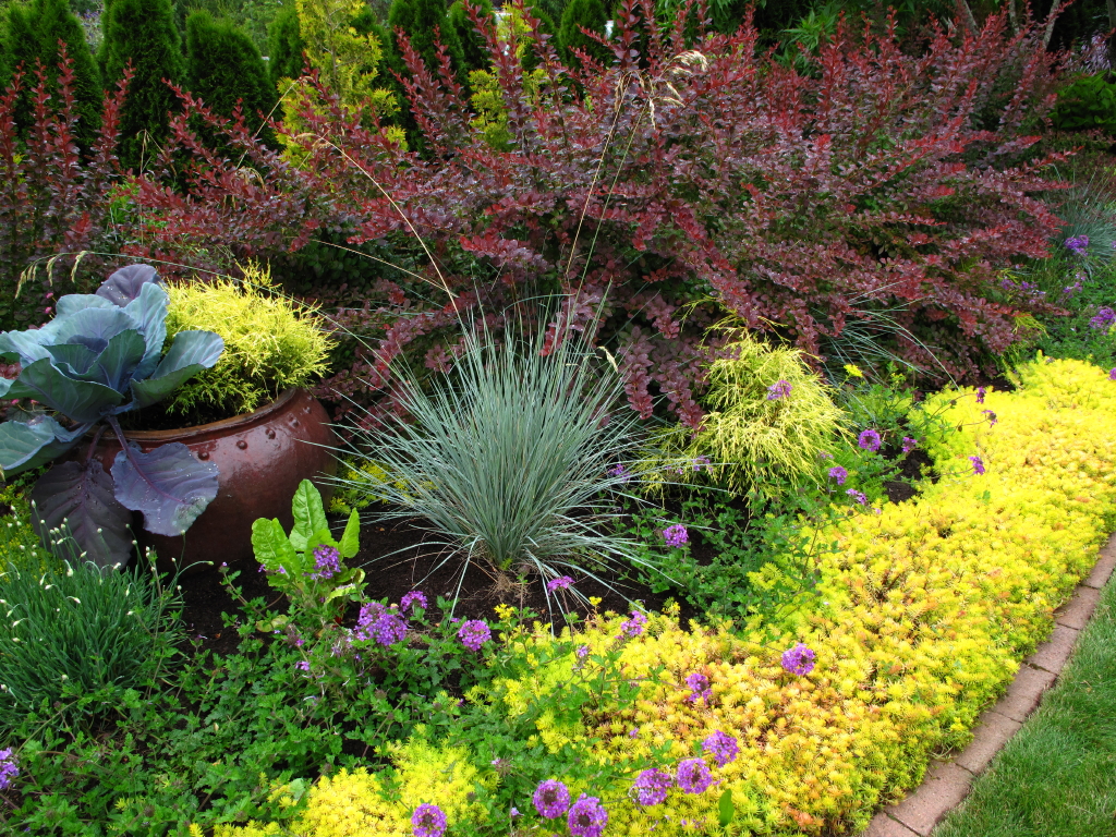 Garden Photo Of The Day Sep 10 2016