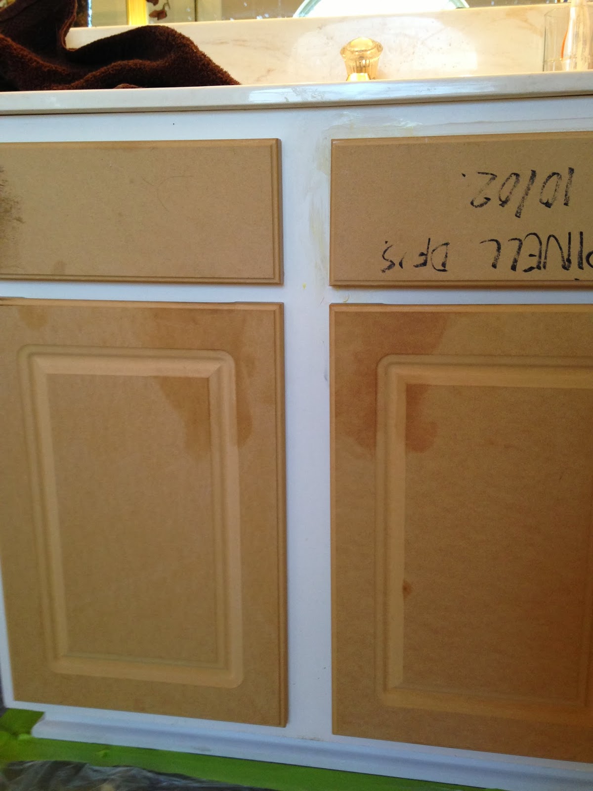 The ragged wren Painting Laminated