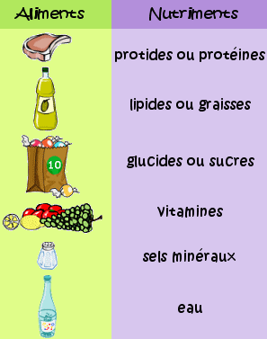 Les douleurs rudes au pas à osteokhondroze