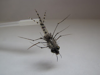 The Tiger Damsel Nymph. Tiger Damsel Nymph