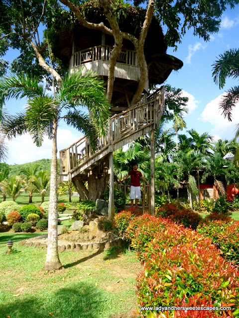 tree house at Rafael's Farm Leyte