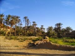 زريبة الوادي زريبة الوادي