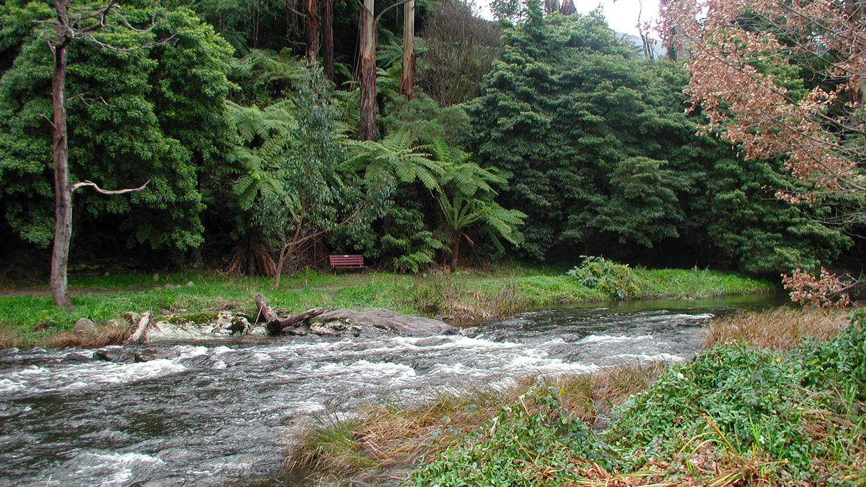 MAP WARBURTON, VICTORIA