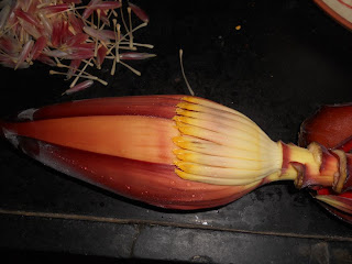 vazhaipoo aka banana flower