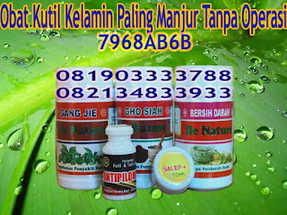 Obat Kutil Untuk Sapi Obat Kutil Untuk Sapi