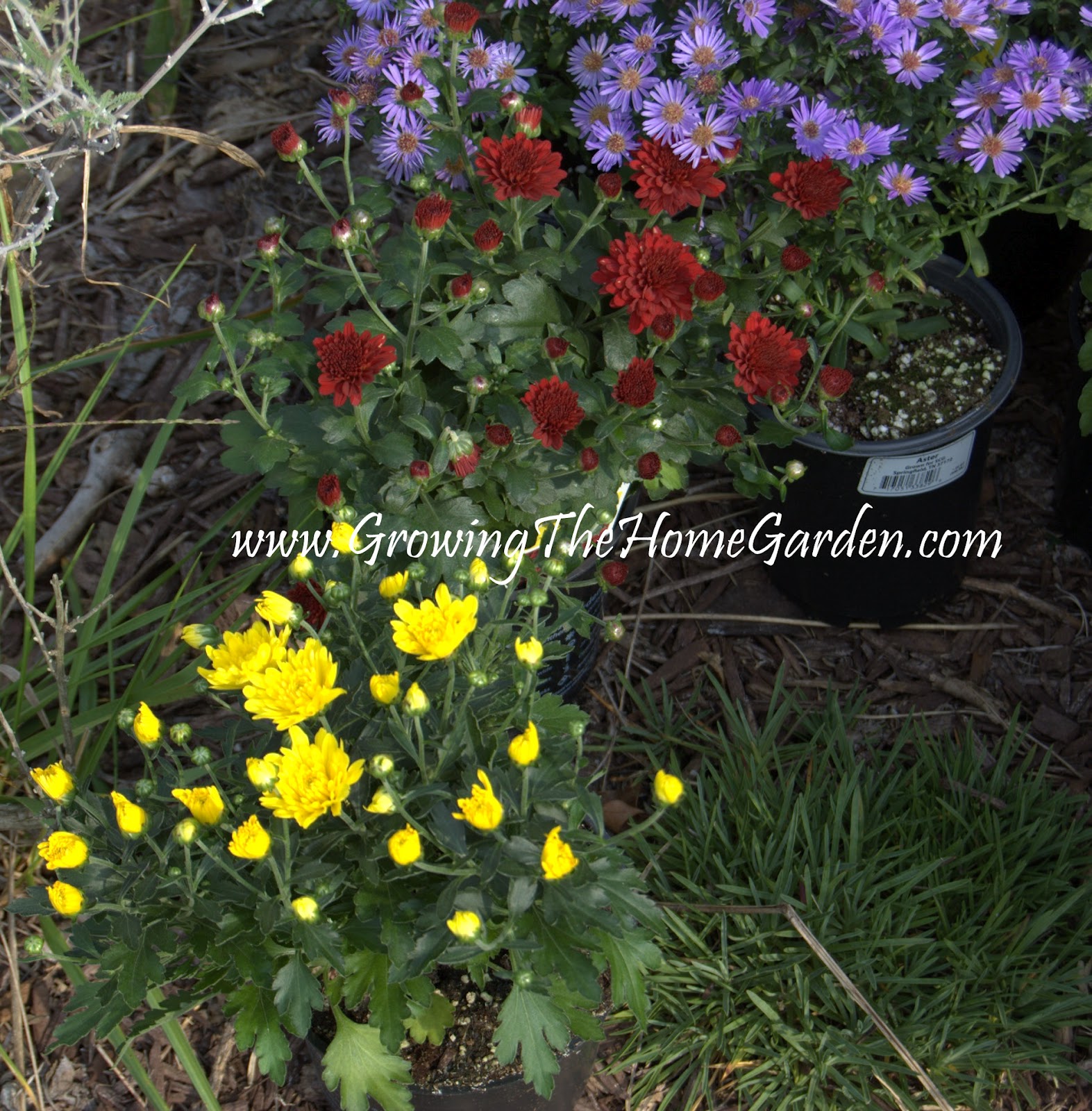 Reusing an Old Wheelbarrow and a 50 Gift Card Giveaway to Lowe's