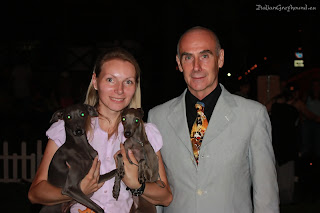 ABIGAIL Pustynny Wiatr Italian Greyhound