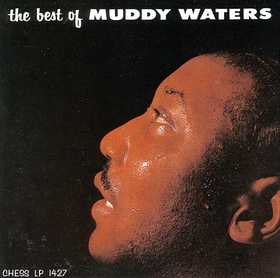 Muddy Waters WORLD OF HARMONICA