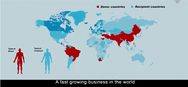 Kakki sattai full movie free download 2015 hd