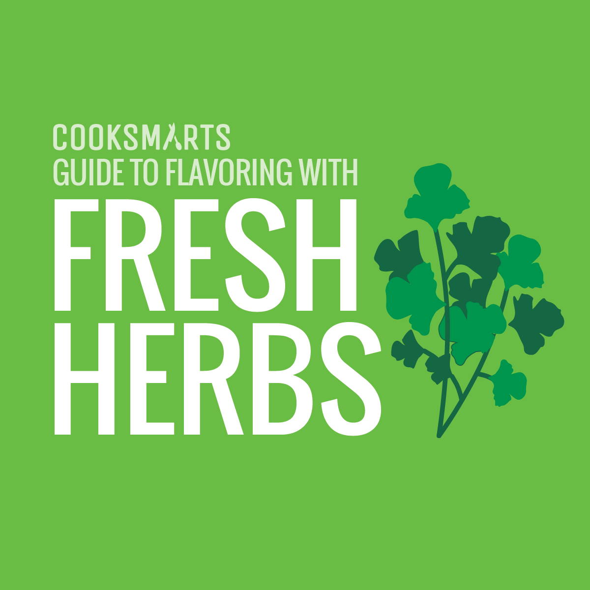 The Ultimate Guide to Flavoring With Fresh Herbs Chef Jay's Kitchen