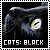I like black cats